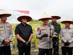 Kapolda Sumsel Didampingi Kapolres Ogan Ilir Salurkan Bantuan Sosial pada Acara Panen Raya Jagung Serentak