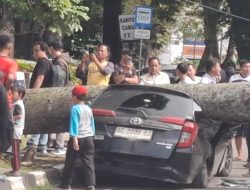 Pohon Tumbang Timpa Pengguna Jalan, Siapa yang bertanggung jawab?